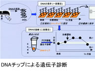 DNAチップによる遺伝子診断