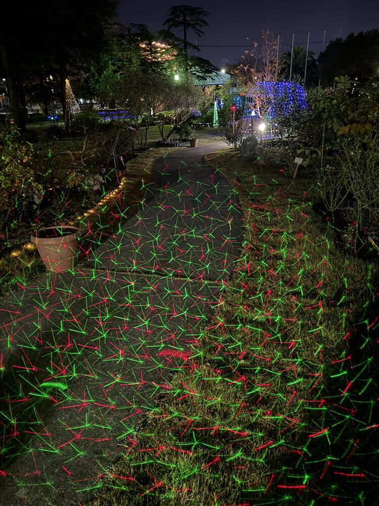 ph20241210_2.jpg