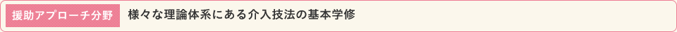 援助アプローチ分野 様々な理系体系にある介入技法の基本学修