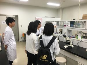 2016年度分子微生物科学教室研究室探訪